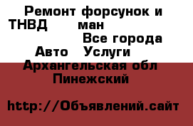 Ремонт форсунок и ТНВД Man (ман) TGA, TGL, TGS, TGM, TGX - Все города Авто » Услуги   . Архангельская обл.,Пинежский 